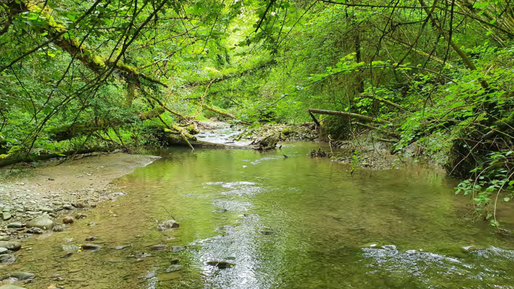 Rivière La Laire