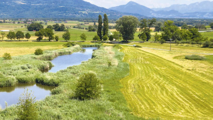 Renaturation cours d'eau Canton de Genève