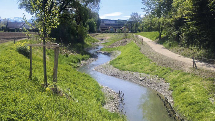 Renaturation cours d'eau Canton de Genève