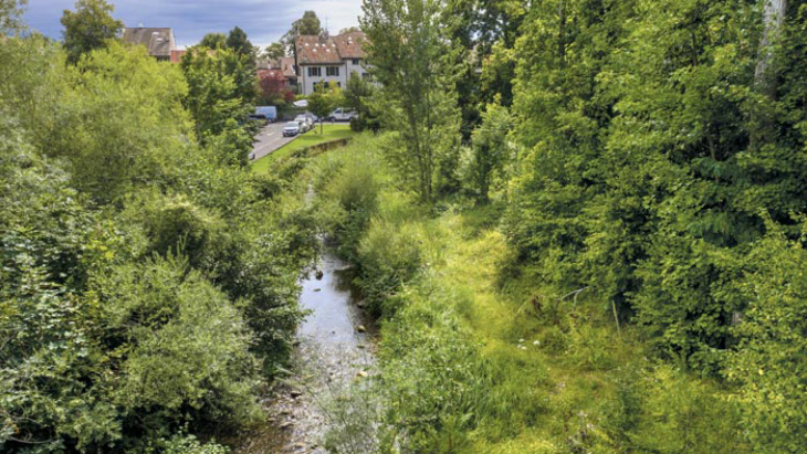 Renaturation cours d'eau Canton de Genève