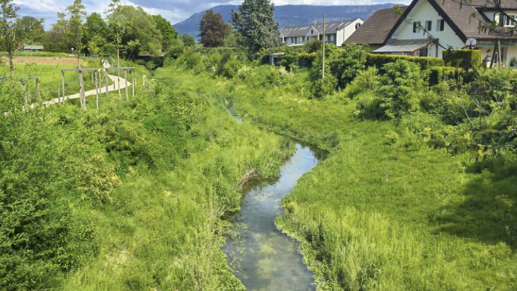 Renaturation cours d'eau Canton de Genève