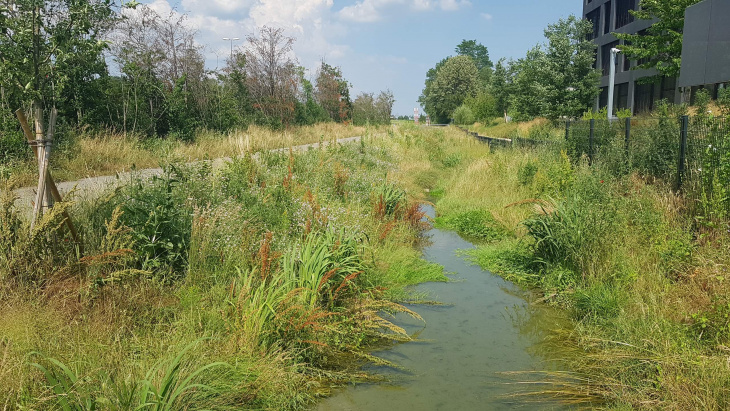 Nant d'Avril - Secteur renaturé à proximité de la Zimeysaver