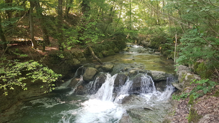 Nant d'Avril - Enrochements le long du vallon boisé