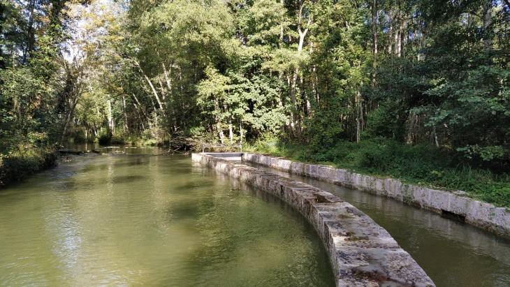 Le canal de Greny et sa prise d’eau (originairement construite au 13ème siècle) sur la commune de Divonne-les-Bains (FRA), sont à proximité immédiate de la frontière suisse (Vaud). Ce canal est issu d’une dérivation de la rivière Divonne (la Versoix). Après la traversée de Bogis-Bossey, le canal se scinde en deux cours d’eau qui se rejettent dans le lac Léman au niveau du Canton de Genève.