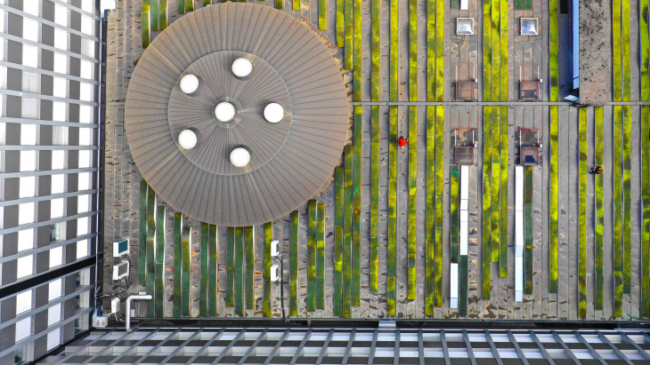 Plus de Nature en ville