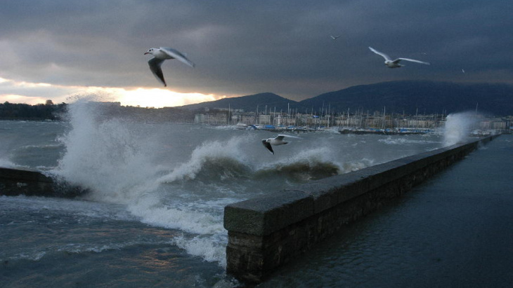 Tempête - Quai Wilson