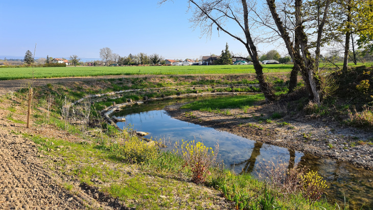 Le Foron après renaturation