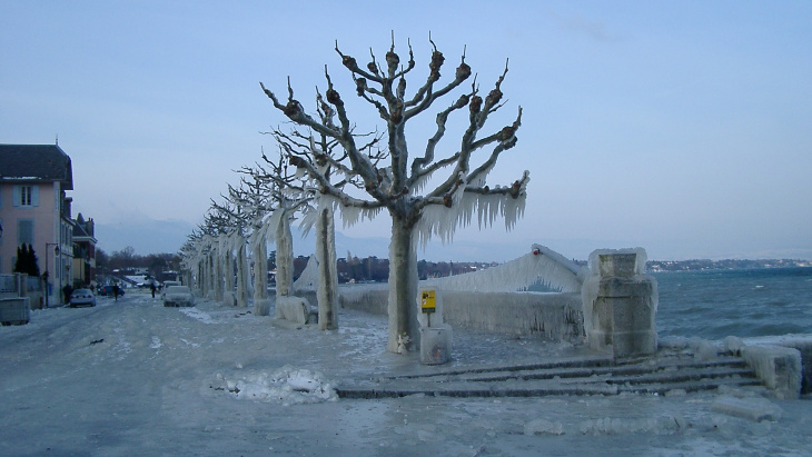 Vague de froid - Quai de Corsier