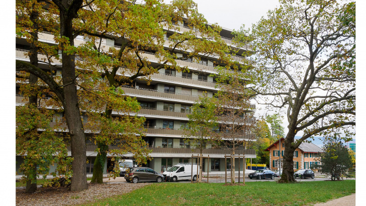 Quartier Surville - des grands arbres autour des bâtiments © Daniel Gubler