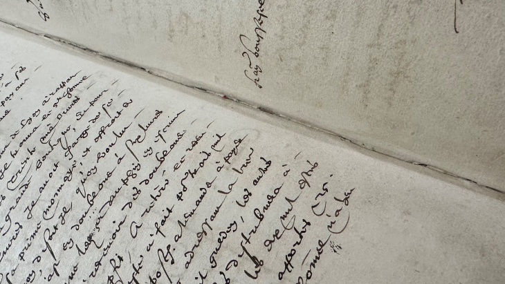 Procès-verbal de la séance du du Petit Conseil du 12 décembre 1602