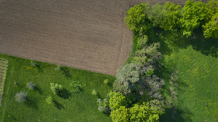 © Loris von Siebenthal