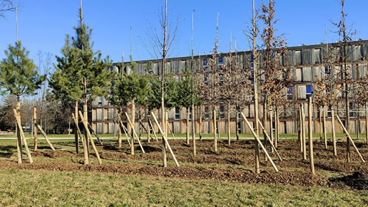Pépinière urbaine, Parc Rigot - © Etat de Genève