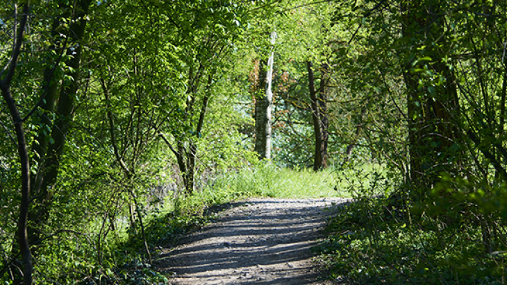 © Loris von Siebenthal