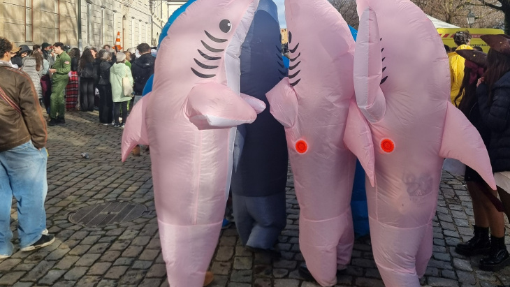 Déguisement poisssons