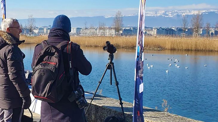 Roselière à la plage publique des Eaux-Vives -  RAMSAR