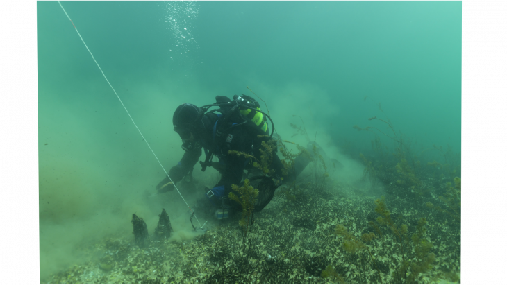 Monitoring des sites palaffitiques UNESCO: station de Versoix-Bourg (2024), © Fondation Octopus, SAGe.