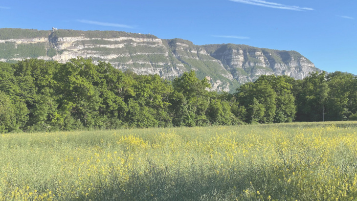 Projet Pré-des-Dames - site actuel - photo : Boccard