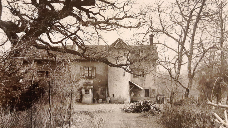 La Maison de la Forêt au tournant du siècle passé