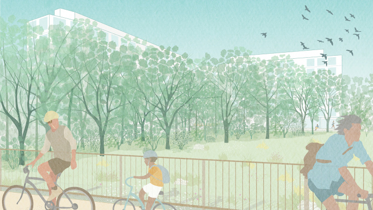 Projet Pré-Bois - forêt - illustration Oxalys