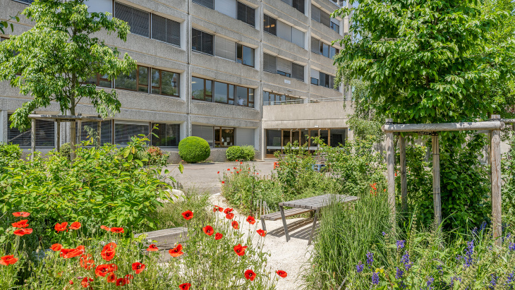 Projet Cool City au cycle d'orientation de Sécheron - photo : J. Marburg (2023)