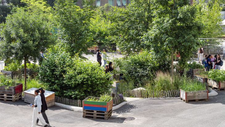 Projet Cool City au préau de Sécheron - photo : J. Marburg