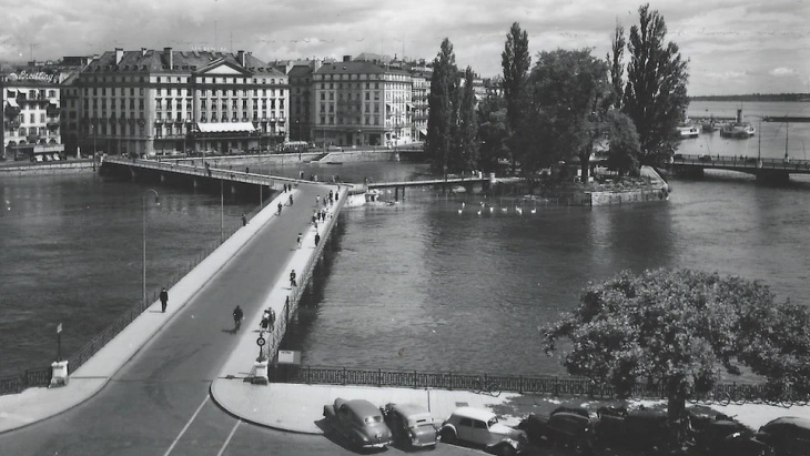 @Madeleine Luvisetto